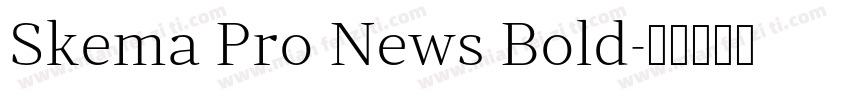 Skema Pro News Bold字体转换